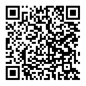 安卓客户端下载