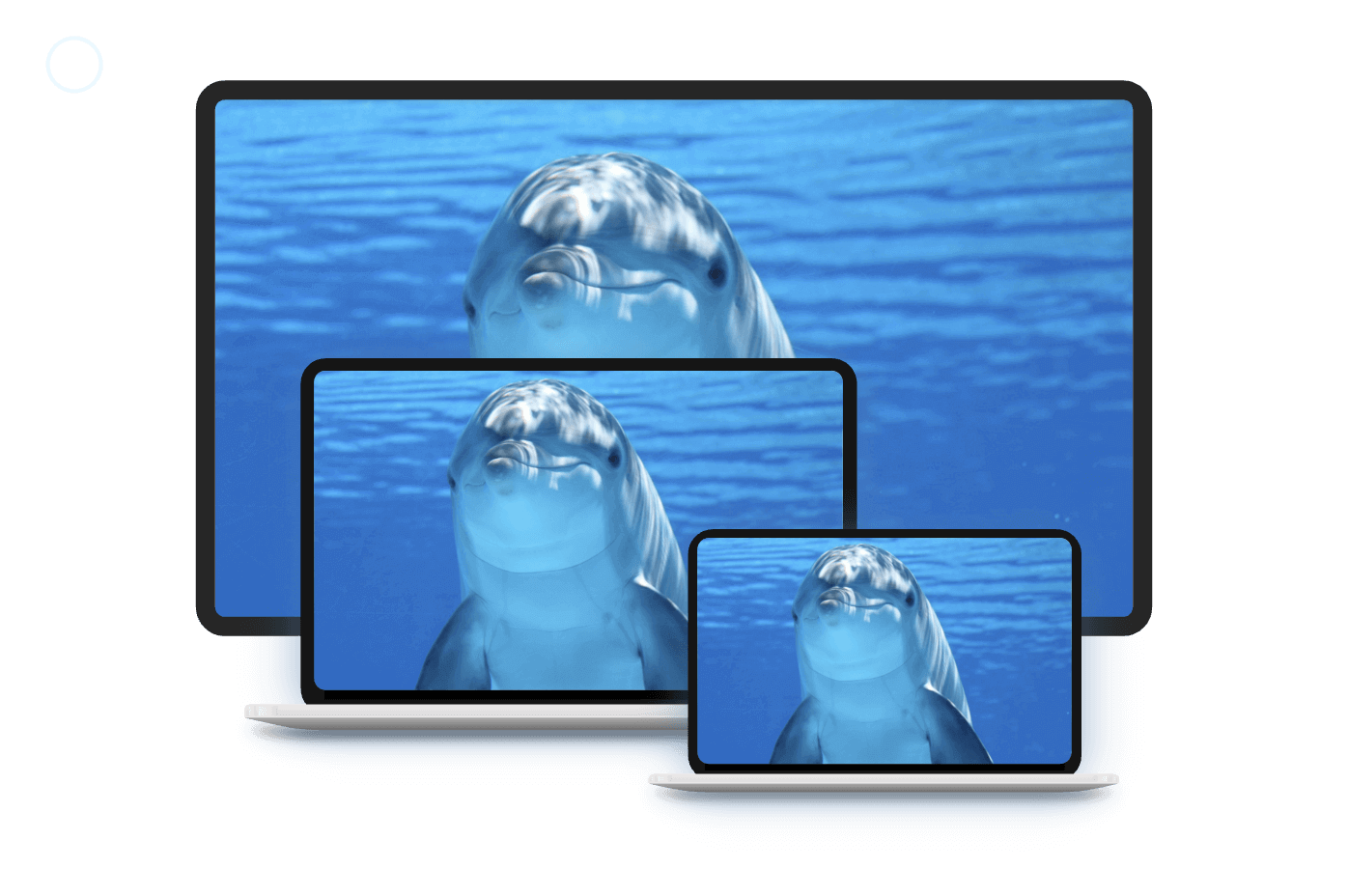 EV投屏手机投屏软件